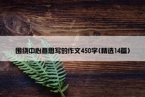 围绕中心意思写的作文450字(精选14篇)