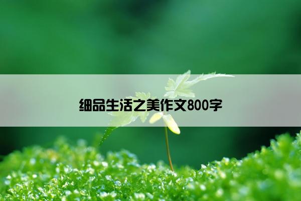 细品生活之美作文800字