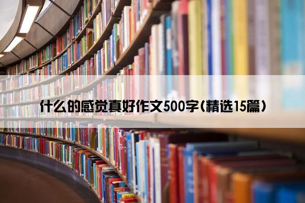 什么的感觉真好作文500字(精选15篇)