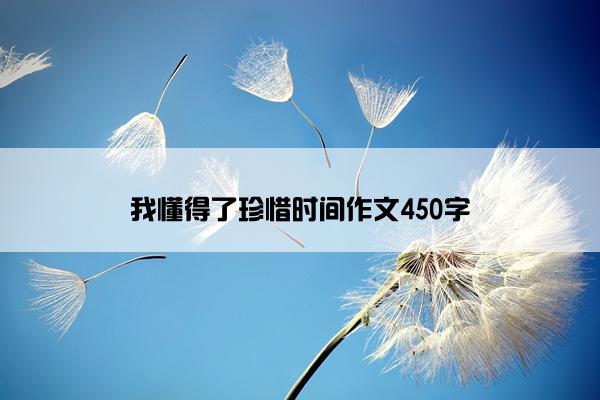 我懂得了珍惜时间作文450字