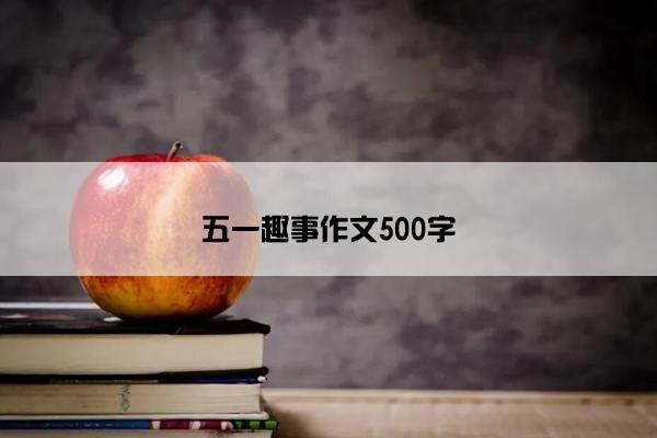 五一趣事作文500字