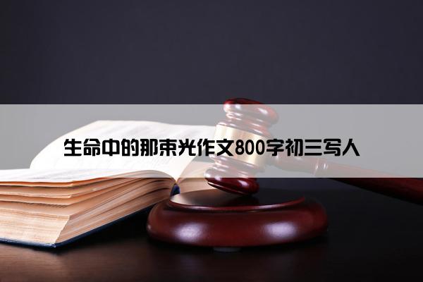 生命中的那束光作文800字初三写人