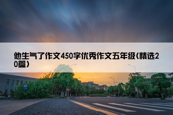 他生气了作文450字优秀作文五年级(精选20篇)