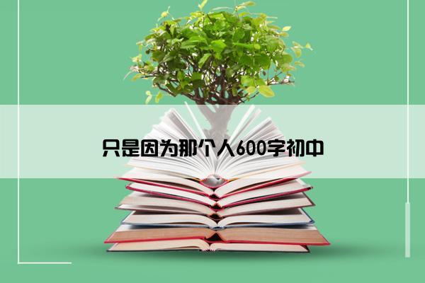 只是因为那个人600字初中