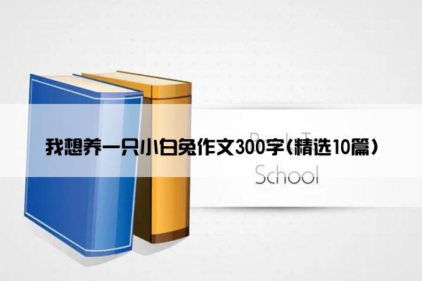 我想养一只小白兔作文300字(精选10篇)