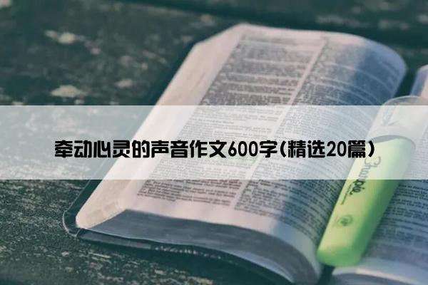 牵动心灵的声音作文600字(精选20篇)