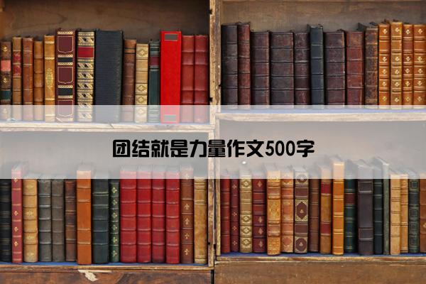 团结就是力量作文500字