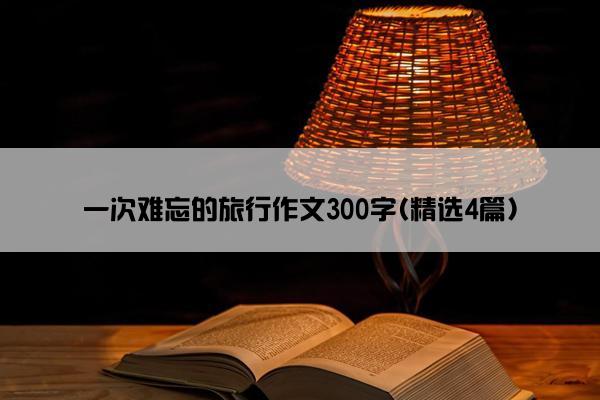 一次难忘的旅行作文300字(精选4篇)