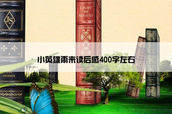 小英雄雨来读后感400字左右