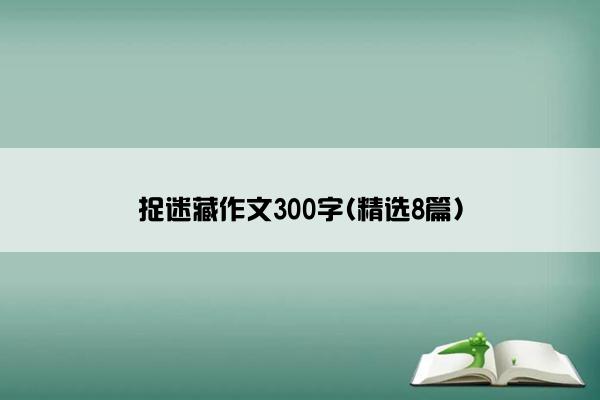 捉迷藏作文300字(精选8篇)