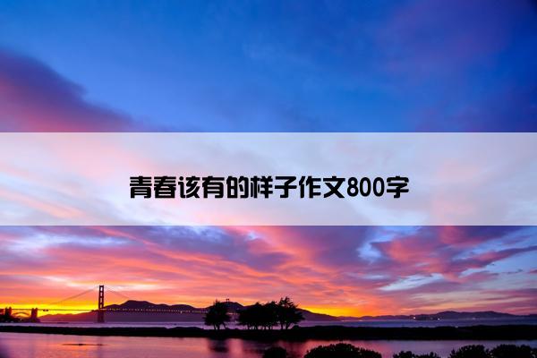 青春该有的样子作文800字