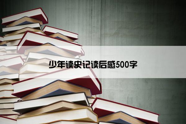 少年读史记读后感500字