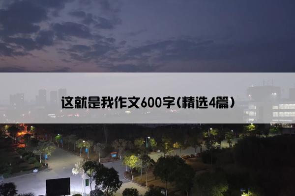 这就是我作文600字(精选4篇)