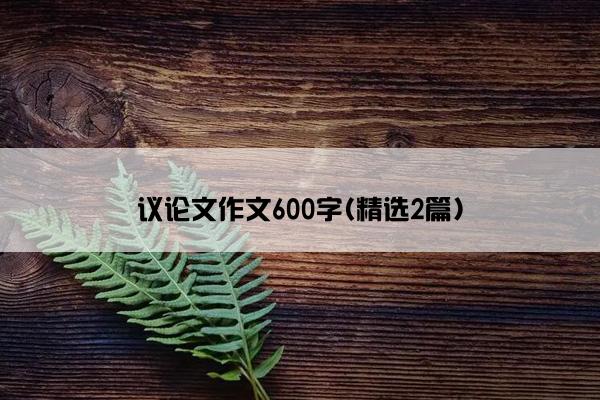 议论文作文600字(精选2篇)