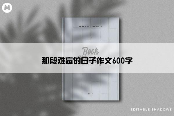 那段难忘的日子作文600字