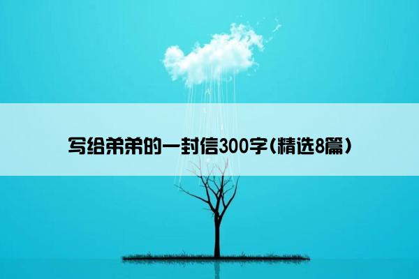 写给弟弟的一封信300字(精选8篇)