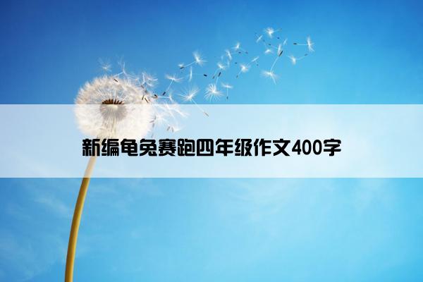 新编龟兔赛跑四年级作文400字