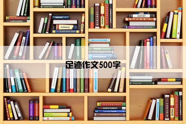 足迹作文500字