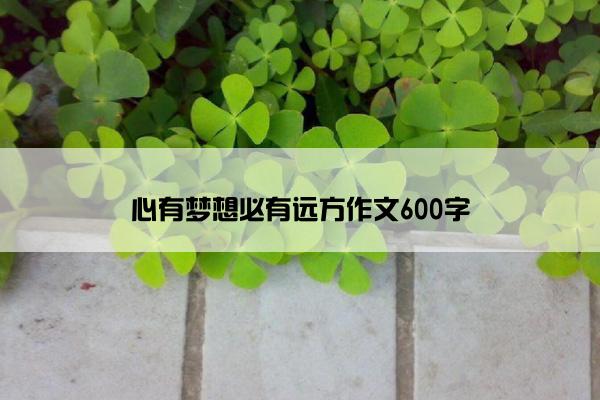 心有梦想必有远方作文600字