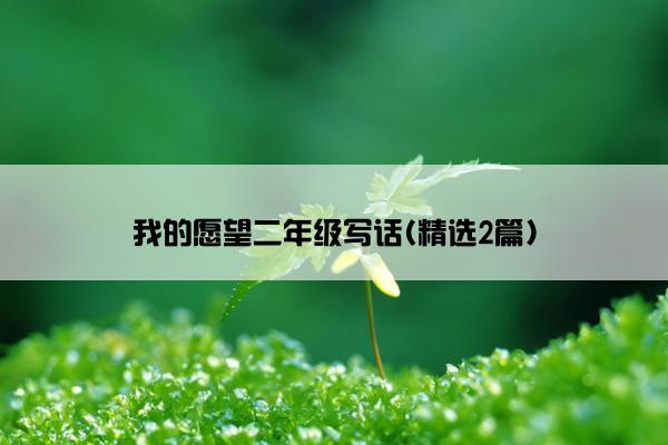 我的愿望二年级写话(精选2篇)