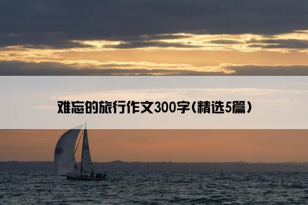 难忘的旅行作文300字(精选5篇)