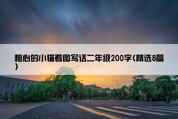 粗心的小猫看图写话二年级200字(精选8篇)