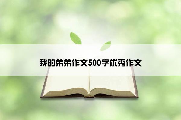 我的弟弟作文500字优秀作文