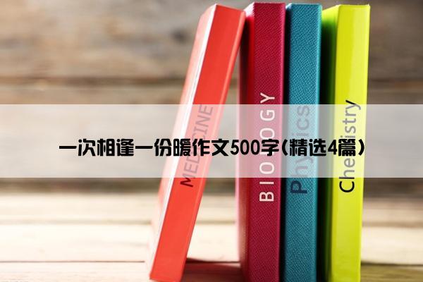 一次相逢一份暖作文500字(精选4篇)