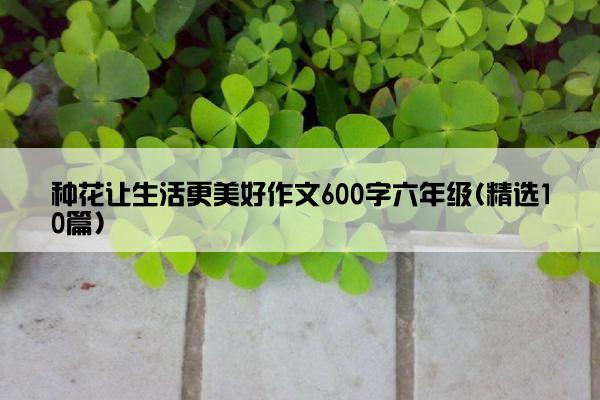 种花让生活更美好作文600字六年级(精选10篇)